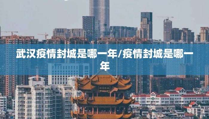 武汉疫情封城是哪一年/疫情封城是哪一年