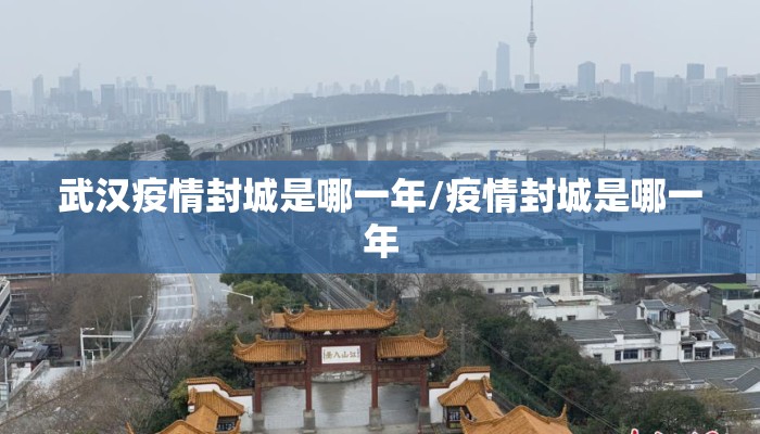 武汉疫情封城是哪一年/疫情封城是哪一年