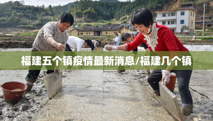 福建五个镇疫情最新消息/福建几个镇