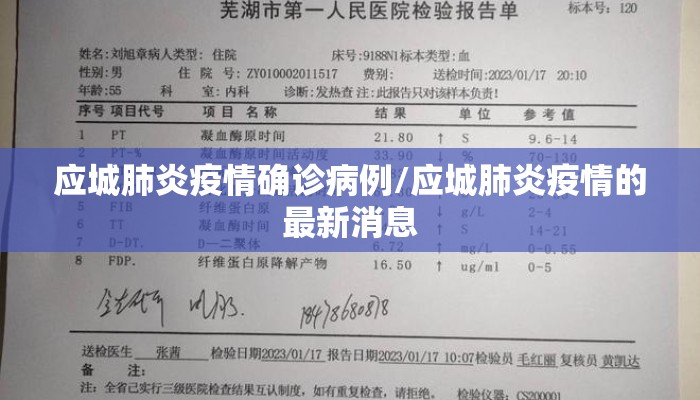 应城肺炎疫情确诊病例/应城肺炎疫情的最新消息