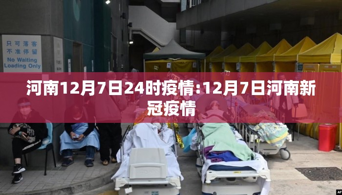 河南12月7日24时疫情:12月7日河南新冠疫情