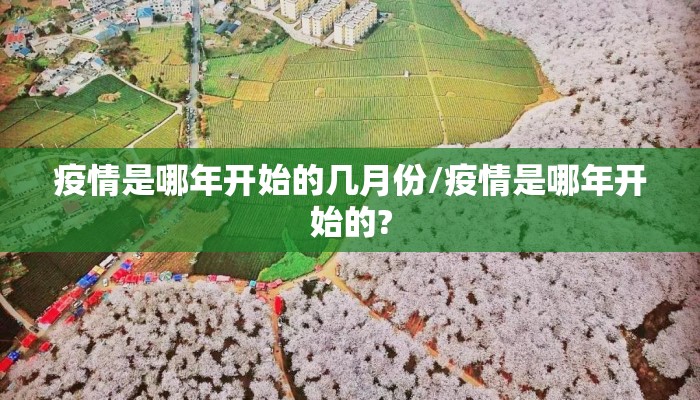 疫情是哪年开始的几月份/疫情是哪年开始的?