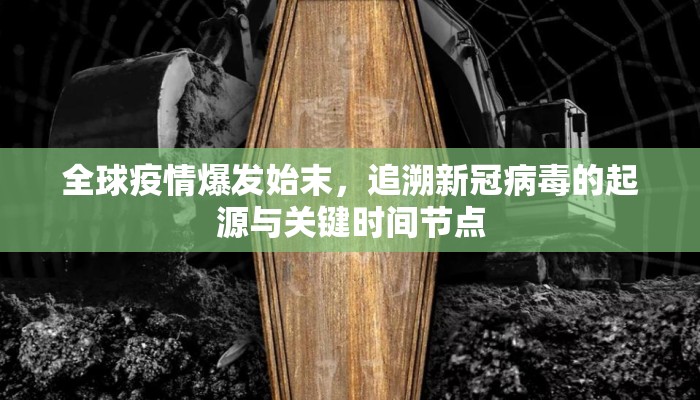 全球疫情爆发始末，追溯新冠病毒的起源与关键时间节点