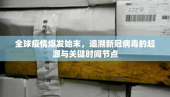 全球疫情爆发始末，追溯新冠病毒的起源与关键时间节点