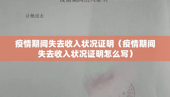 疫情期间失去收入状况证明（疫情期间失去收入状况证明怎么写）