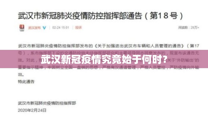 武汉新冠疫情究竟始于何时？
