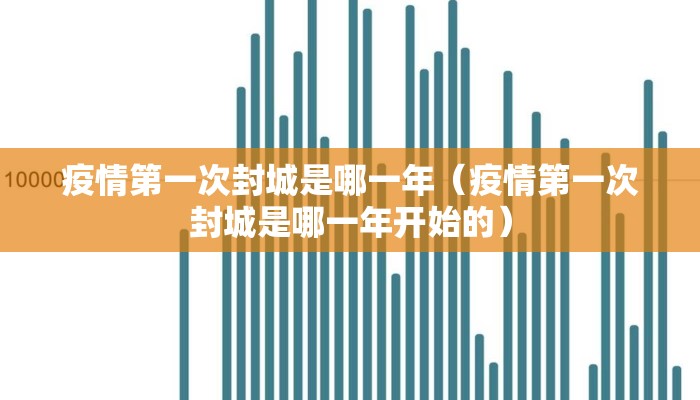 疫情第一次封城是哪一年（疫情第一次封城是哪一年开始的）