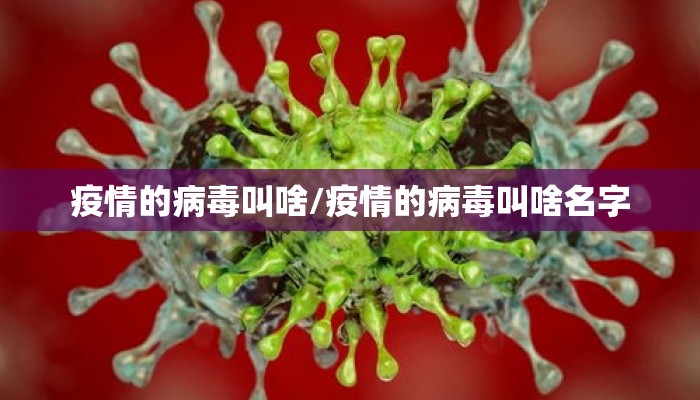 疫情的病毒叫啥/疫情的病毒叫啥名字