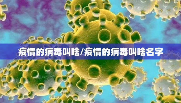 疫情的病毒叫啥/疫情的病毒叫啥名字