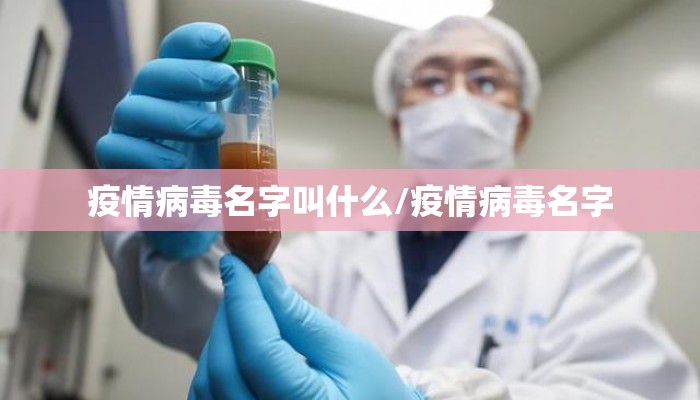 疫情病毒名字叫什么/疫情病毒名字