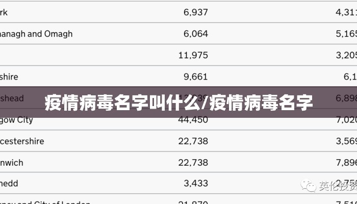 疫情病毒名字叫什么/疫情病毒名字