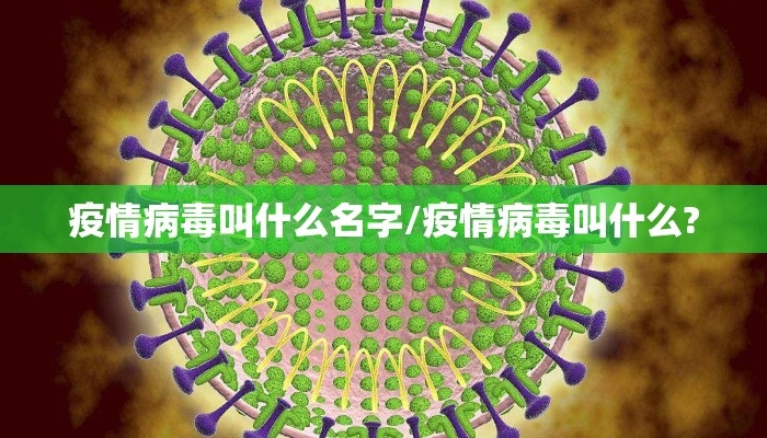 疫情病毒叫什么名字/疫情病毒叫什么?