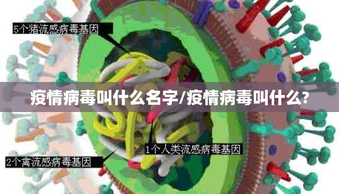 疫情病毒叫什么名字/疫情病毒叫什么?