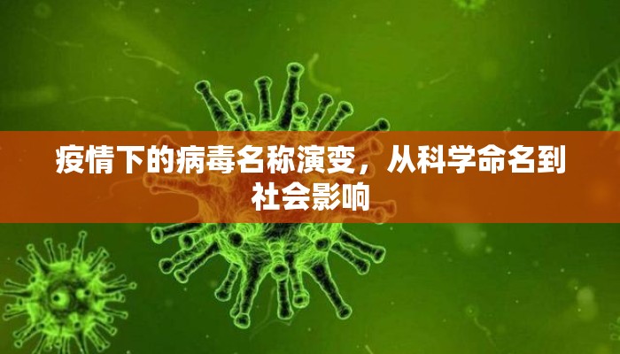 疫情下的病毒名称演变，从科学命名到社会影响