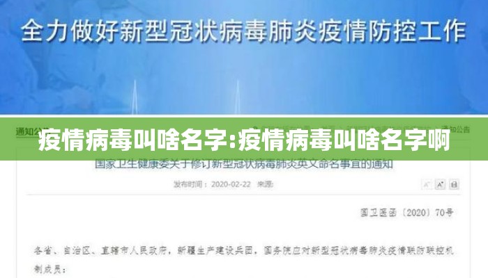 疫情病毒叫啥名字:疫情病毒叫啥名字啊