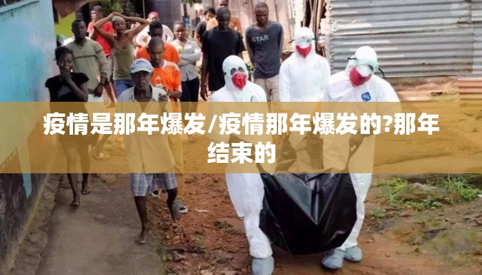 疫情是那年爆发/疫情那年爆发的?那年结束的