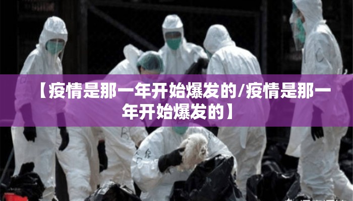 【疫情是那一年开始爆发的/疫情是那一年开始爆发的】