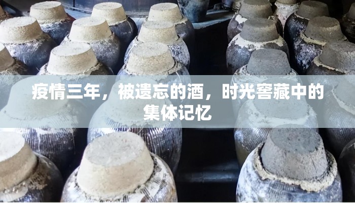 疫情三年，被遗忘的酒，时光窖藏中的集体记忆