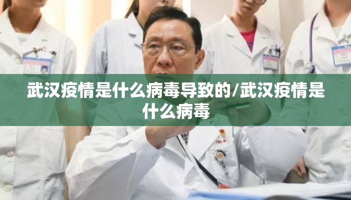 武汉疫情是什么病毒导致的/武汉疫情是什么病毒