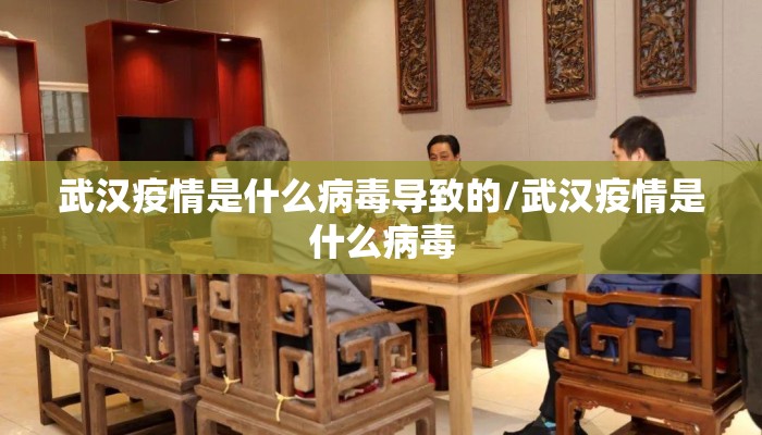 武汉疫情是什么病毒导致的/武汉疫情是什么病毒