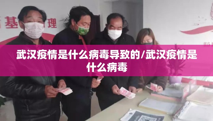 武汉疫情是什么病毒导致的/武汉疫情是什么病毒