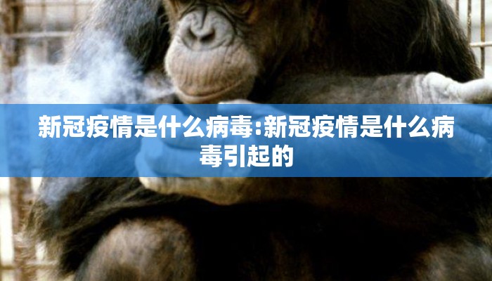 新冠疫情是什么病毒:新冠疫情是什么病毒引起的