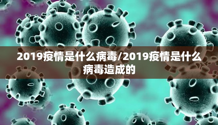2019疫情是什么病毒/2019疫情是什么病毒造成的