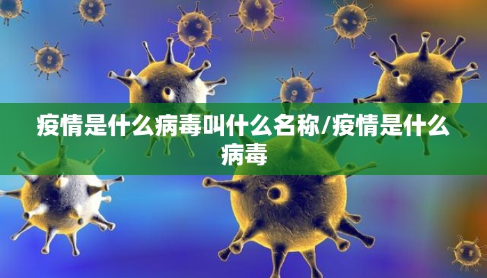 疫情是什么病毒叫什么名称/疫情是什么病毒