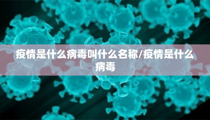 疫情是什么病毒叫什么名称/疫情是什么病毒