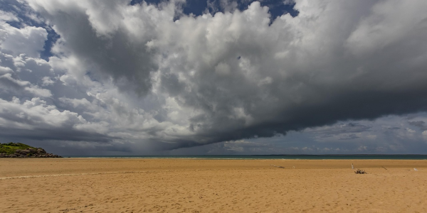 玩家评测“怎样解除麻将机程序控牌器”(曝光透视必备猫腻)