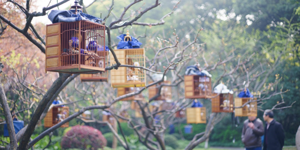 九分钟看懂!【目前新的麻将机程控器免安装原理】”-太坑了原来有挂 九分钟看懂!【目前新的麻将机程控器免安装原理】”-太坑了原来有挂