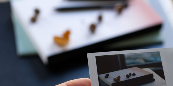 揭秘1款“斗牛麻将机程控器新款”推荐3个购买渠道