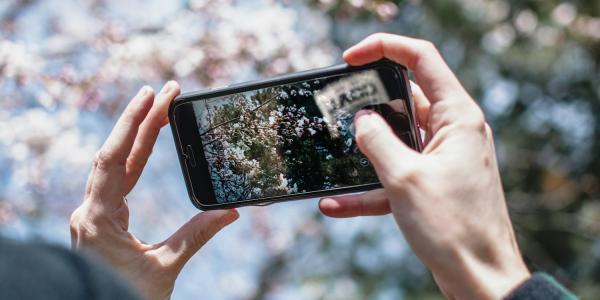 2分钟学会“麻将机控牌器手机专用”开挂(透视)辅助教程 2分钟学会“麻将机控牌器手机专用”开挂(透视)辅助教程