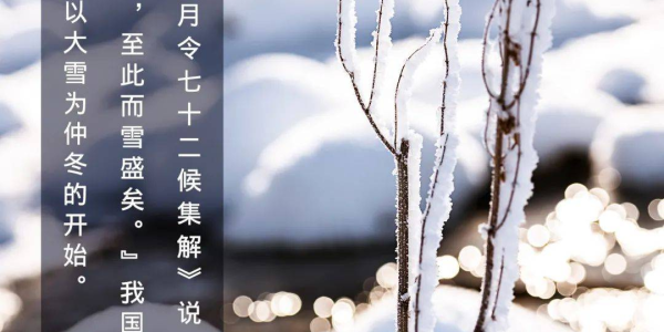 重大来袭“麻将机程序控牌器飞针”AI实测推荐 重大来袭“麻将机程序控牌器飞针”AI实测推荐