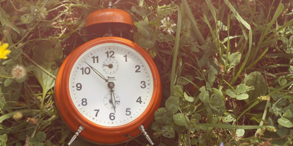 一分钟了解“麻将机免安装程序可以控制输赢吗”(原来真的有挂)-知乎 一分钟了解“麻将机免安装程序可以控制输赢吗”(原来真的有挂)-知乎