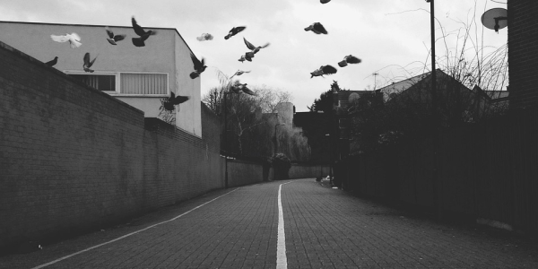 分享五款!麻将机胡牌神器芯片随身携带(可以装程序控制)