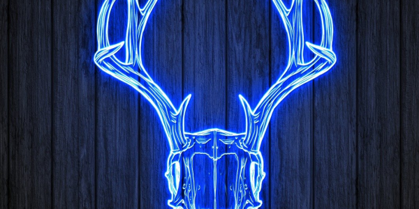 介绍十款!麻将机控牌器视频”!曝光程控内幕