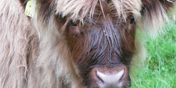 盘点十款!麻将机程控器怎么买”专业师傅带你了解程序(详细教程) 盘点十款!麻将机程控器怎么买”专业师傅带你了解程序(详细教程)