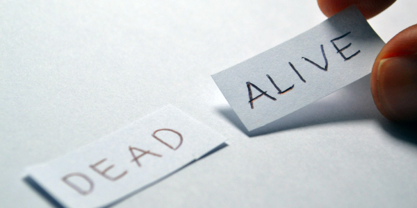 推荐八款“麻将机程控器展示(其实可以调输赢) 推荐八款“麻将机程控器展示(其实可以调输赢)