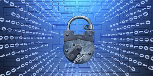 一分钟实测“新青鸟大厅能不能开挂”新安装方法 一分钟实测“新青鸟大厅能不能开挂”新安装方法