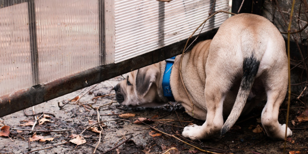 最新教你“普通麻将机免安装程控器(打麻将专用遥控器)