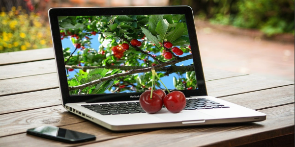 必备软件!别人麻将机我能控制吗”推荐3个购买渠道 必备软件!别人麻将机我能控制吗”推荐3个购买渠道