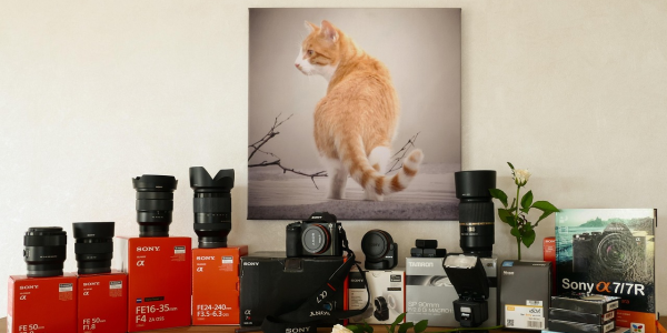 必备科技“【战神麻将机程控器免安装】”分享装挂详细步骤