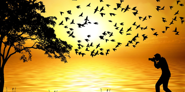 给大家爆料一下“麻将机控牌器怎么拆掉”推荐8个购买渠道 给大家爆料一下“麻将机控牌器怎么拆掉”推荐8个购买渠道