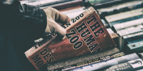 实测结果“不用安装麻将机程控器”(专用神器) 实测结果“不用安装麻将机程控器”(专用神器)