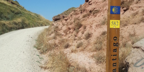 3分钟讲解!程序麻将机手机控牌器桌面标志”开挂详细教程