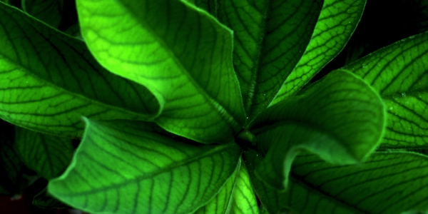 4分钟科普攻略!程序麻将机手机控牌器桌面标志”推荐6个购买渠道