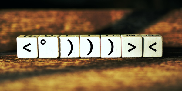 2分钟讲解!红中麻将40张程序控牌器(如何让系统发好牌) 2分钟讲解!红中麻将40张程序控牌器(如何让系统发好牌)