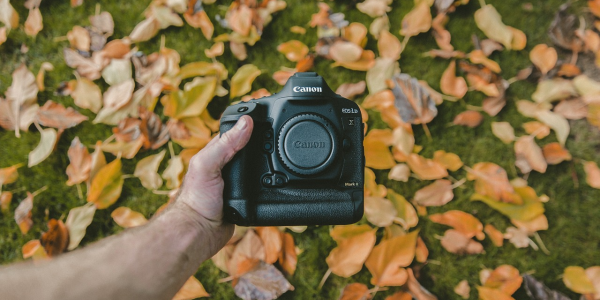 推荐2026款“自动麻将机遥控”(2026新神器)-知乎 推荐2026款“自动麻将机遥控”(2026新神器)-知乎