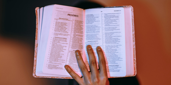 最新教你“【普通麻将免安装神器】(手机控牌器是真的) 最新教你“【普通麻将免安装神器】(手机控牌器是真的)